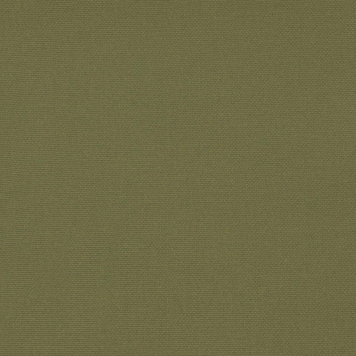Palma fabric in verde alamo color - pattern GDT5688.063.0 - by Gaston y Daniela in the Gaston Maiorica collection