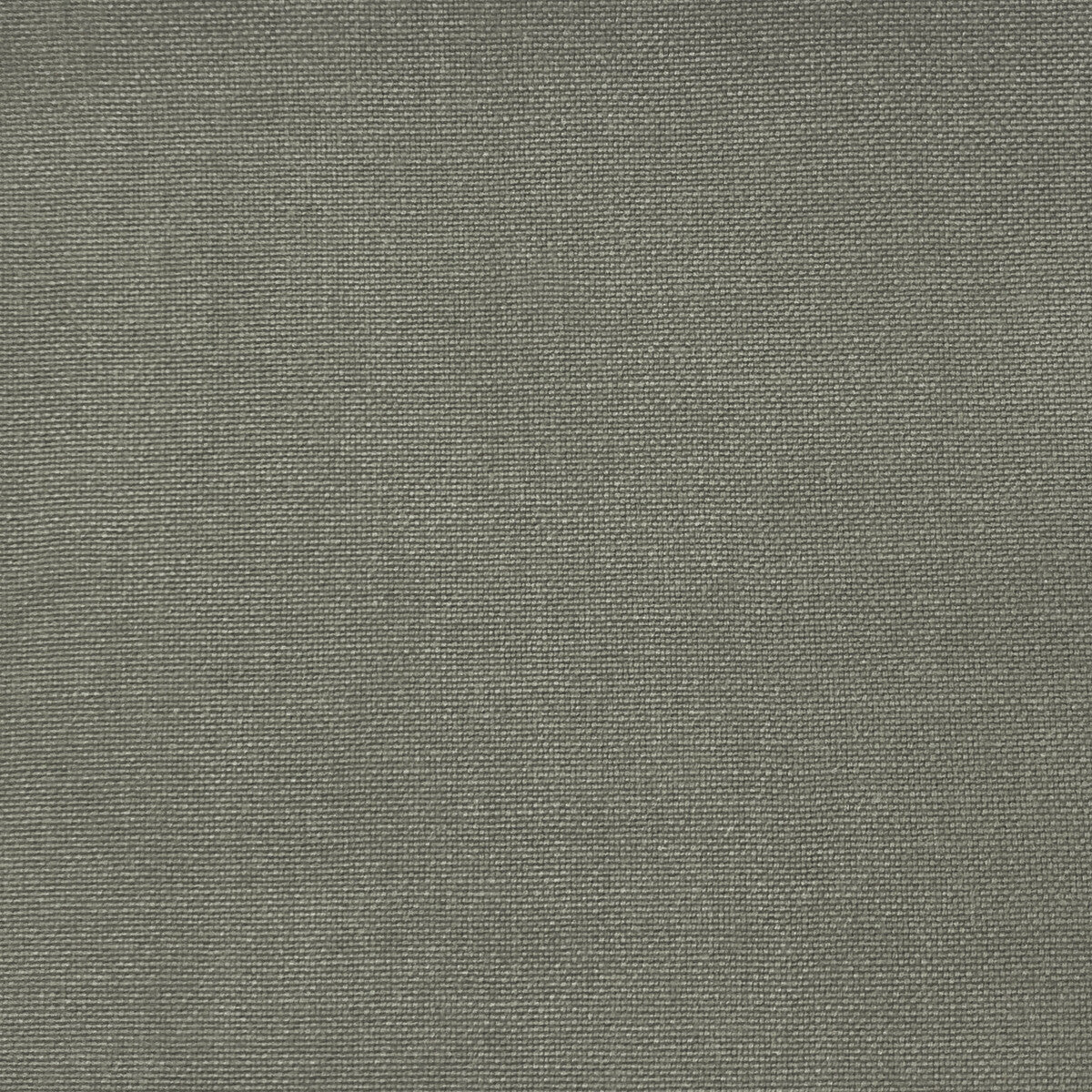 Palma fabric in gris color - pattern GDT5688.077.0 - by Gaston y Daniela in the Gaston Maiorica collection
