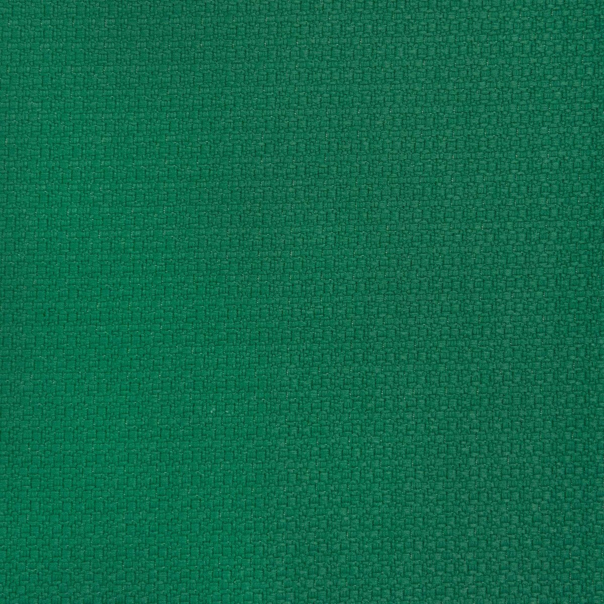 Lhasa fabric in verde color - pattern number GDT5698.008.0 - by Gaston y Daniela in the Gaston y Daniela Marco Polo Indoor/Outdoor collection