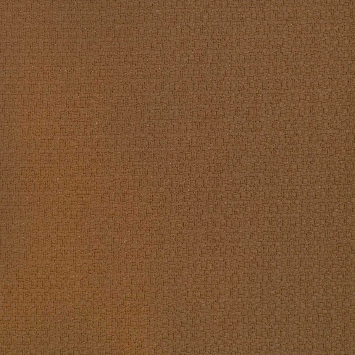 Lhasa fabric in tabaco color - pattern number GDT5698.012.0 - by Gaston y Daniela in the Gaston y Daniela Marco Polo Indoor/Outdoor collection