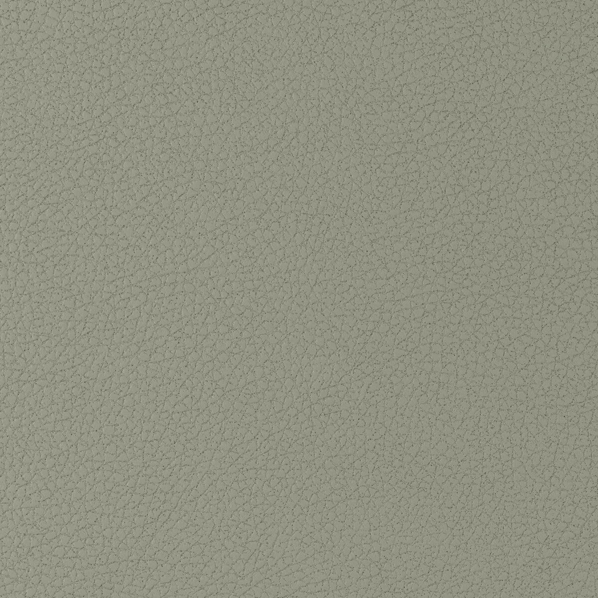 Kravet Design fabric in genslar-1121 color - pattern GENSLAR.1121.0 - by Kravet Design