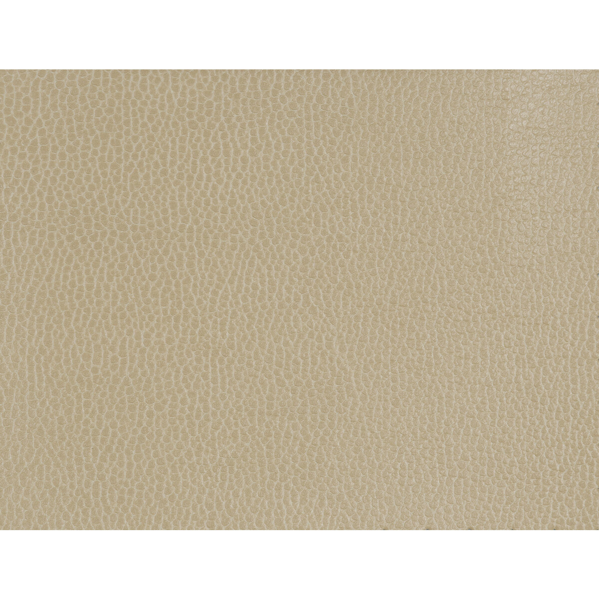 Kravet Design fabric in gillian-1616 color - pattern GILLIAN.1616.0 - by Kravet Design