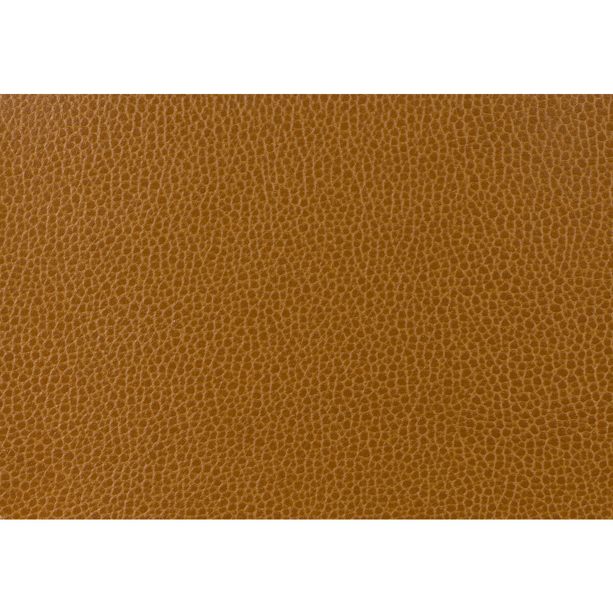 Kravet Design fabric in gillian-24 color - pattern GILLIAN.24.0 - by Kravet Design
