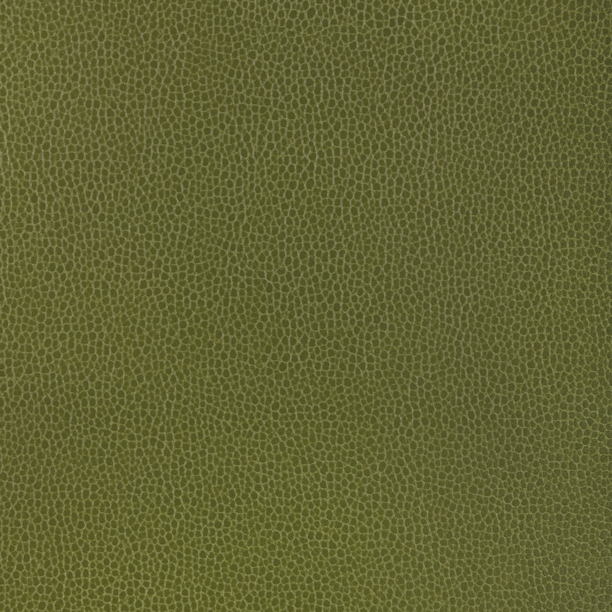 Gillian fabric in 33 color - pattern number Gillian.33.0 - by Kravet Contract in the Ultraleather VI collection