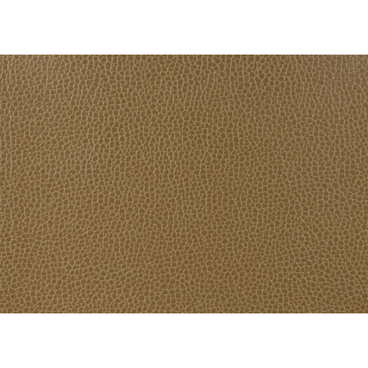 Kravet Design fabric in gillian-6 color - pattern GILLIAN.6.0 - by Kravet Design