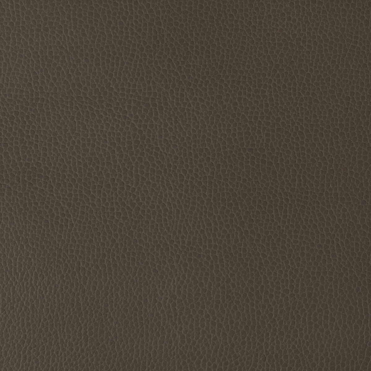 Kravet Design fabric in gillian-6666 color - pattern GILLIAN.6666.0 - by Kravet Design