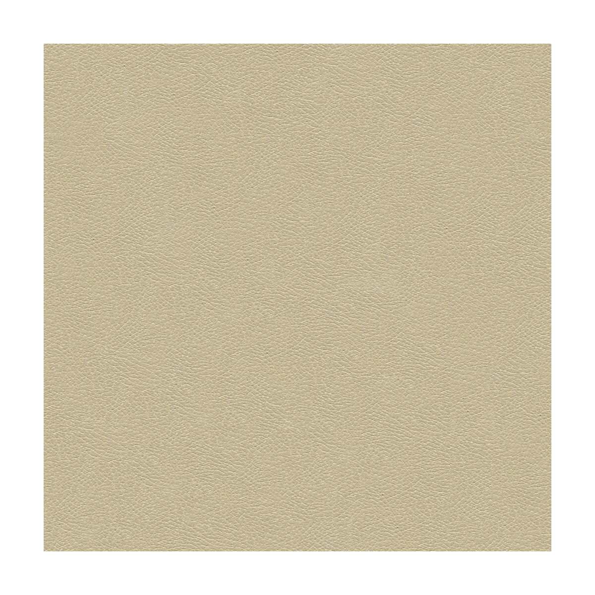 Kravet Design fabric in grana-1116 color - pattern GRANA.1116.0 - by Kravet Design in the Ultraleather Plus IV collection