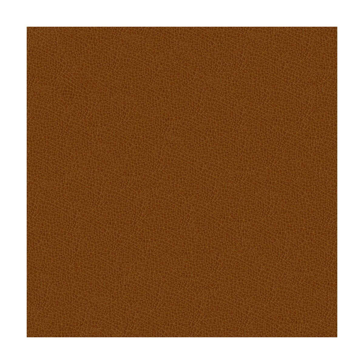 Kravet Design fabric in grana-616 color - pattern GRANA.616.0 - by Kravet Design in the Ultraleather Plus IV collection