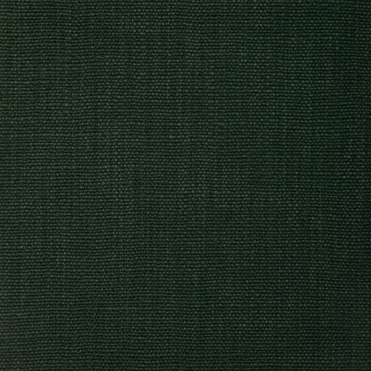 Prairie Texture fabric in emerald color - pattern number GWF-3815.53.0 - by Lee Jofa Modern in the Cadence collection