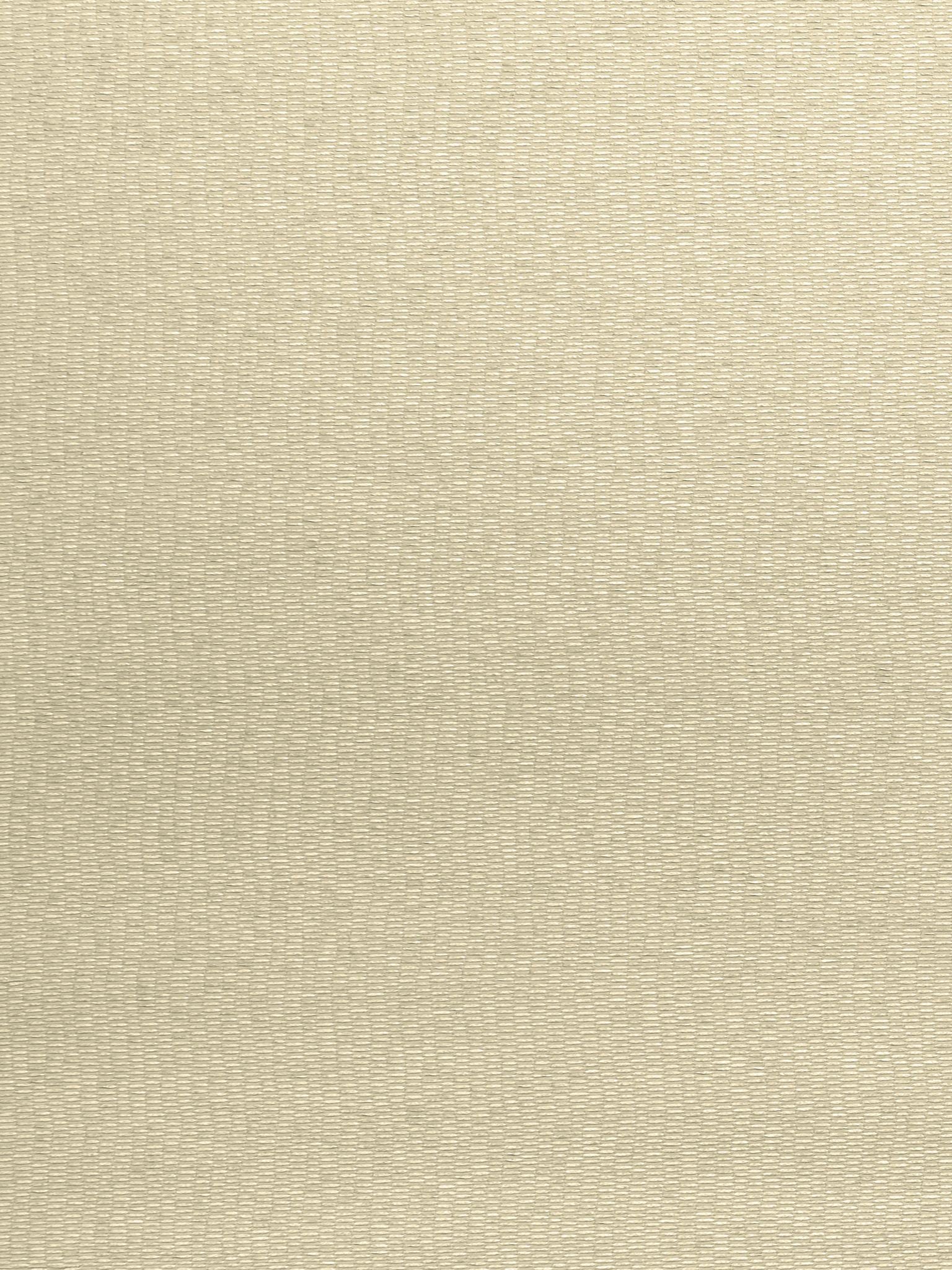 Raine Weave fabric in dune color - pattern number GW 000127224 - by Scalamandre in the Grey Watkins collection