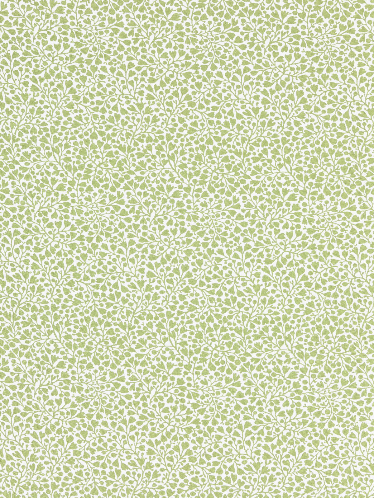 Elodie Weave fabric in willow color - pattern number GW 000227228 - by Scalamandre in the Grey Watkins collection