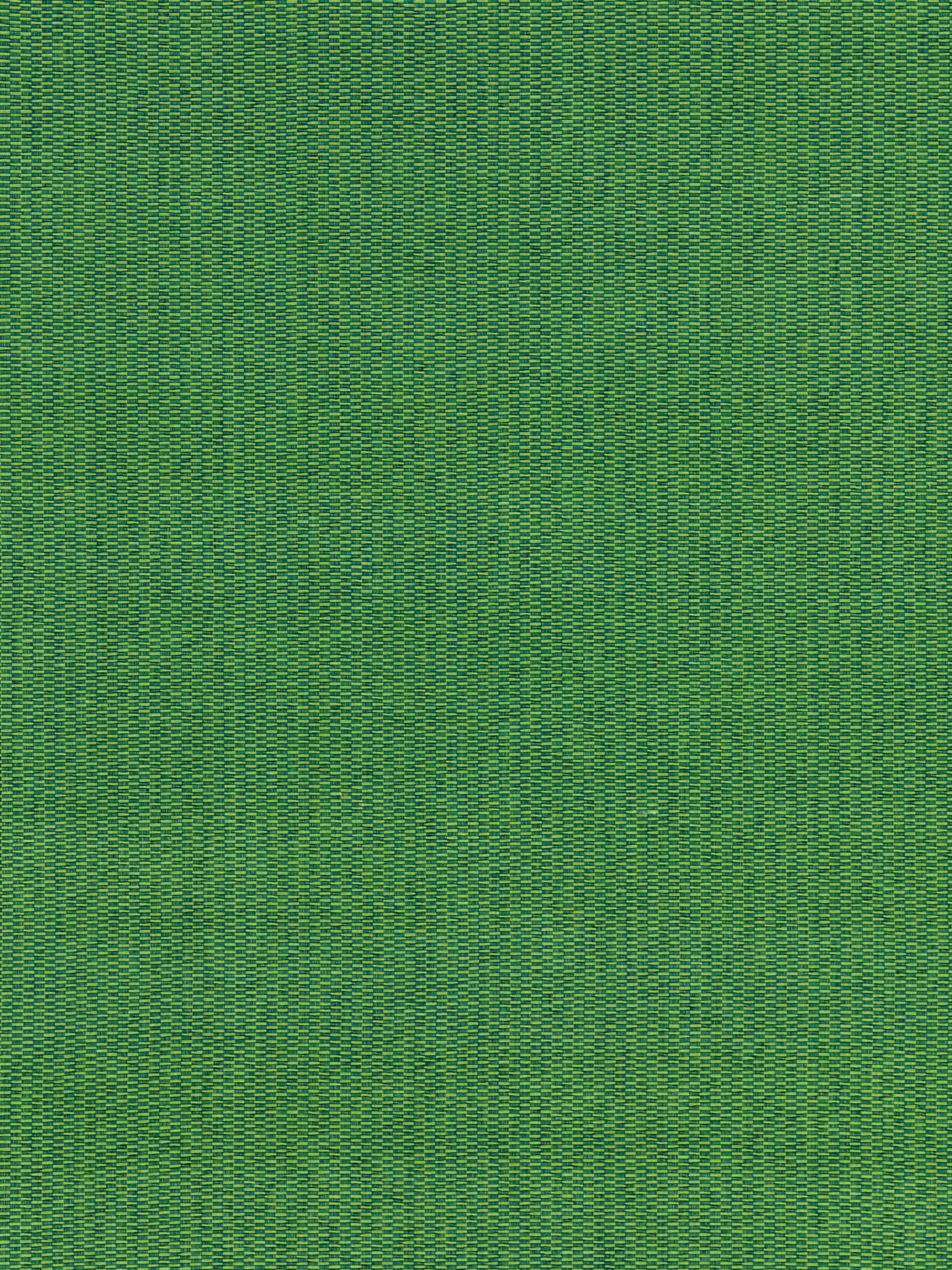 Reed Texture fabric in palm color - pattern number GW 000427212 - by Scalamandre in the Grey Watkins collection