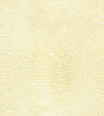 Haute Croc fabric in ivory color - pattern HAUTE CROC.1.0 - by Kravet Couture