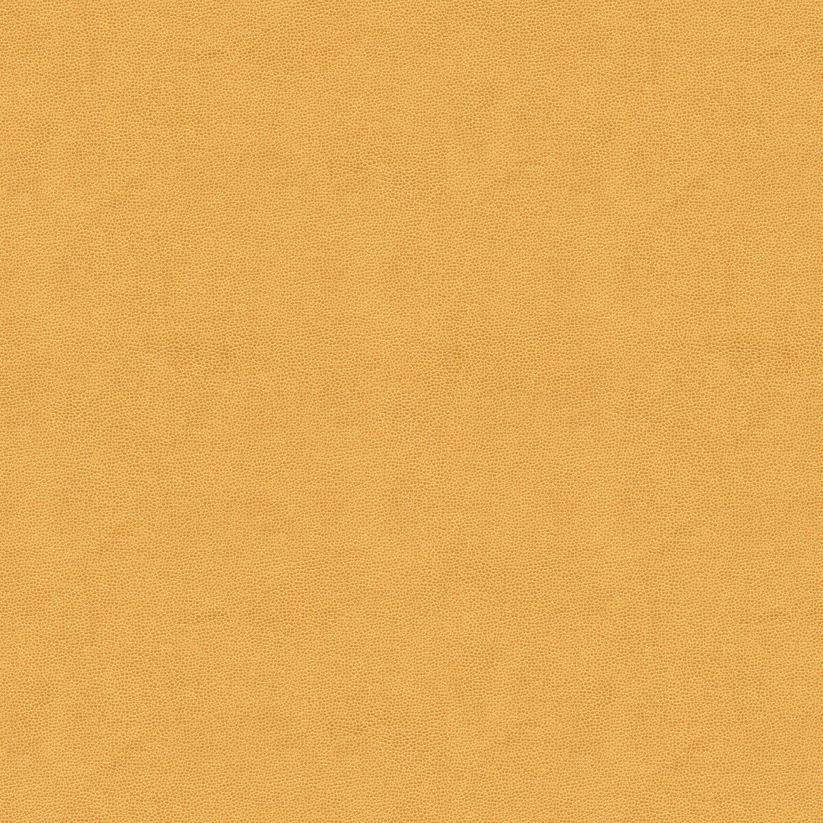 Impact fabric in sand color - pattern IMPACT.116.0 - by Kravet Couture