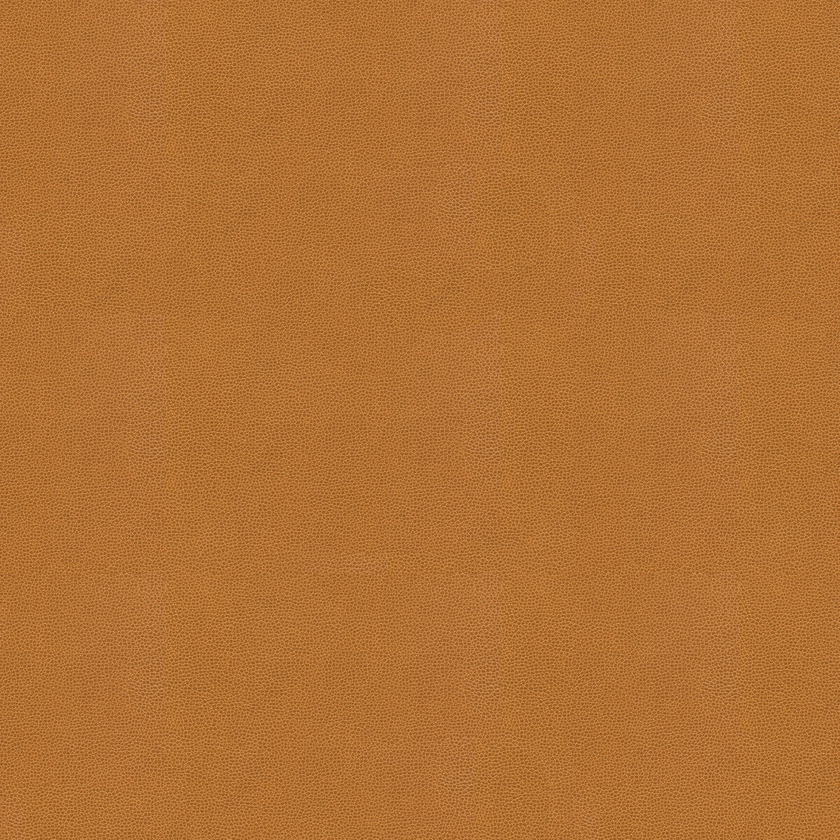 Impact fabric in caramel color - pattern IMPACT.16.0 - by Kravet Couture