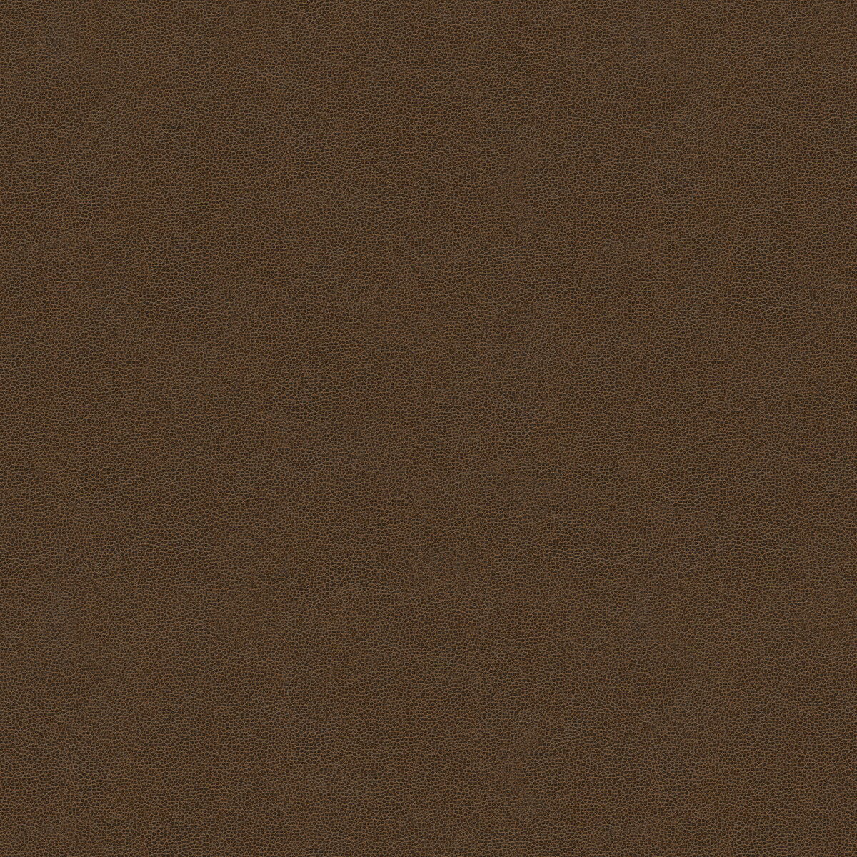 Impact fabric in espresso color - pattern IMPACT.6.0 - by Kravet Couture