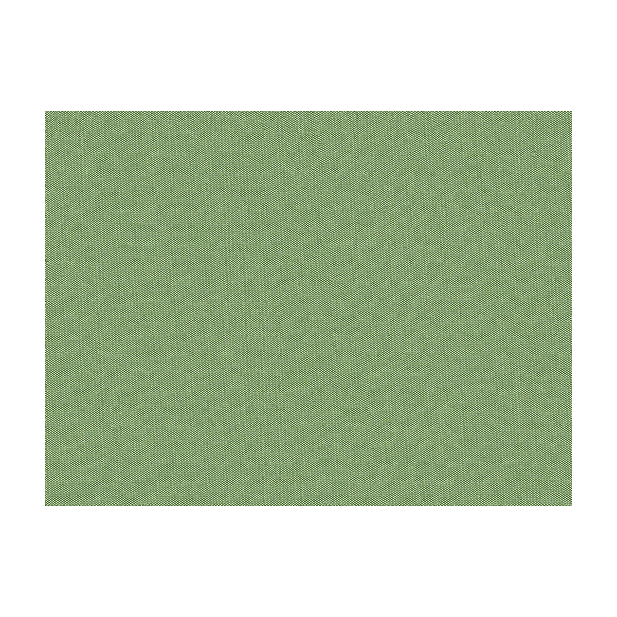 Jour fabric in sage color - pattern JAG-50001.3000.0 - by Brunschwig & Fils in the Jagtar collection