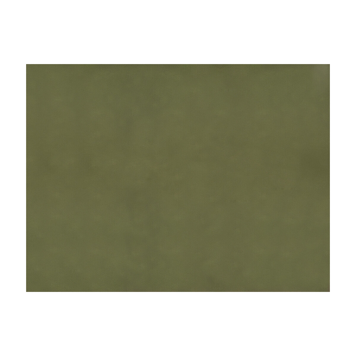 Sukhothai fabric in olive color - pattern JAG-50002.30.0 - by Brunschwig & Fils in the Jagtar collection
