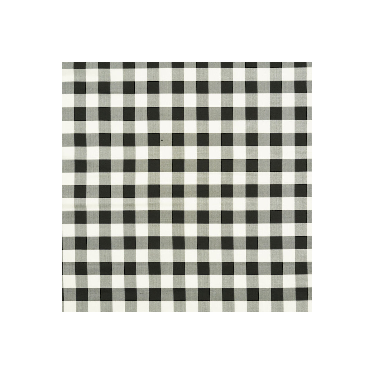 Fanfare fabric in ebony color - pattern JAG-50058.81.0 - by Brunschwig & Fils in the Festival collection