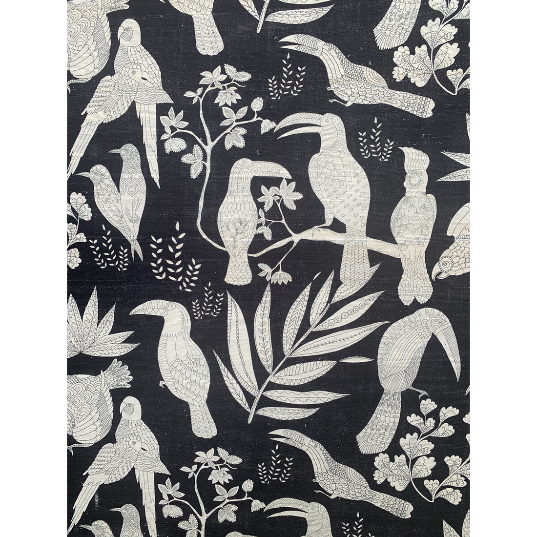 Silk Bird fabric in ebony color - pattern JAG-50063.81.0 - by Brunschwig &amp; Fils in the Festival collection