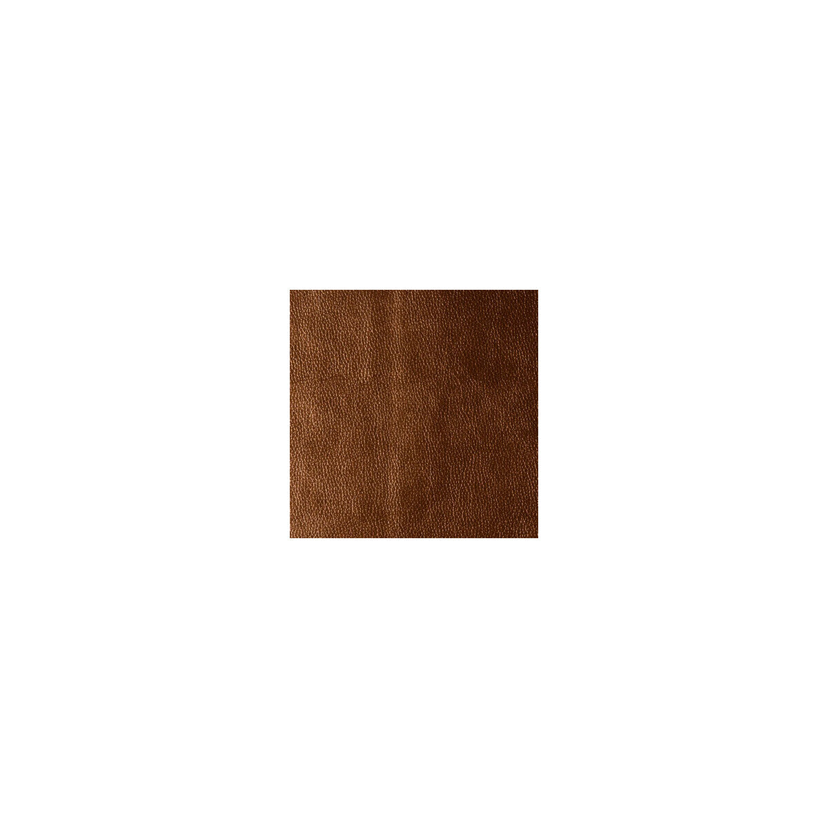 Kerinci fabric in lucky penny color - pattern KERINCI.12.0 - by Kravet Design in the Performance Sta Kleen collection