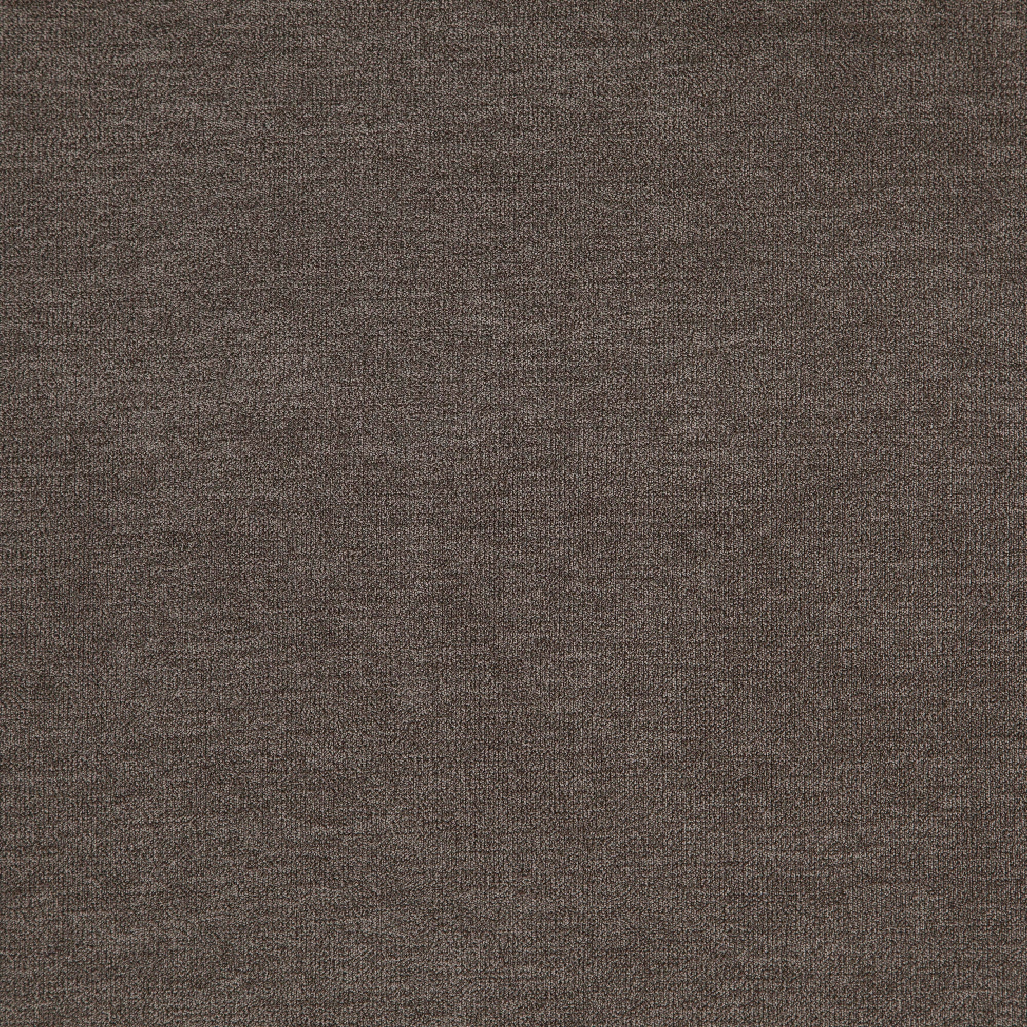 Koala fabric in 38 color - pattern number Koala38J8471 - by JF Fabrics in the Everyday Koala collection