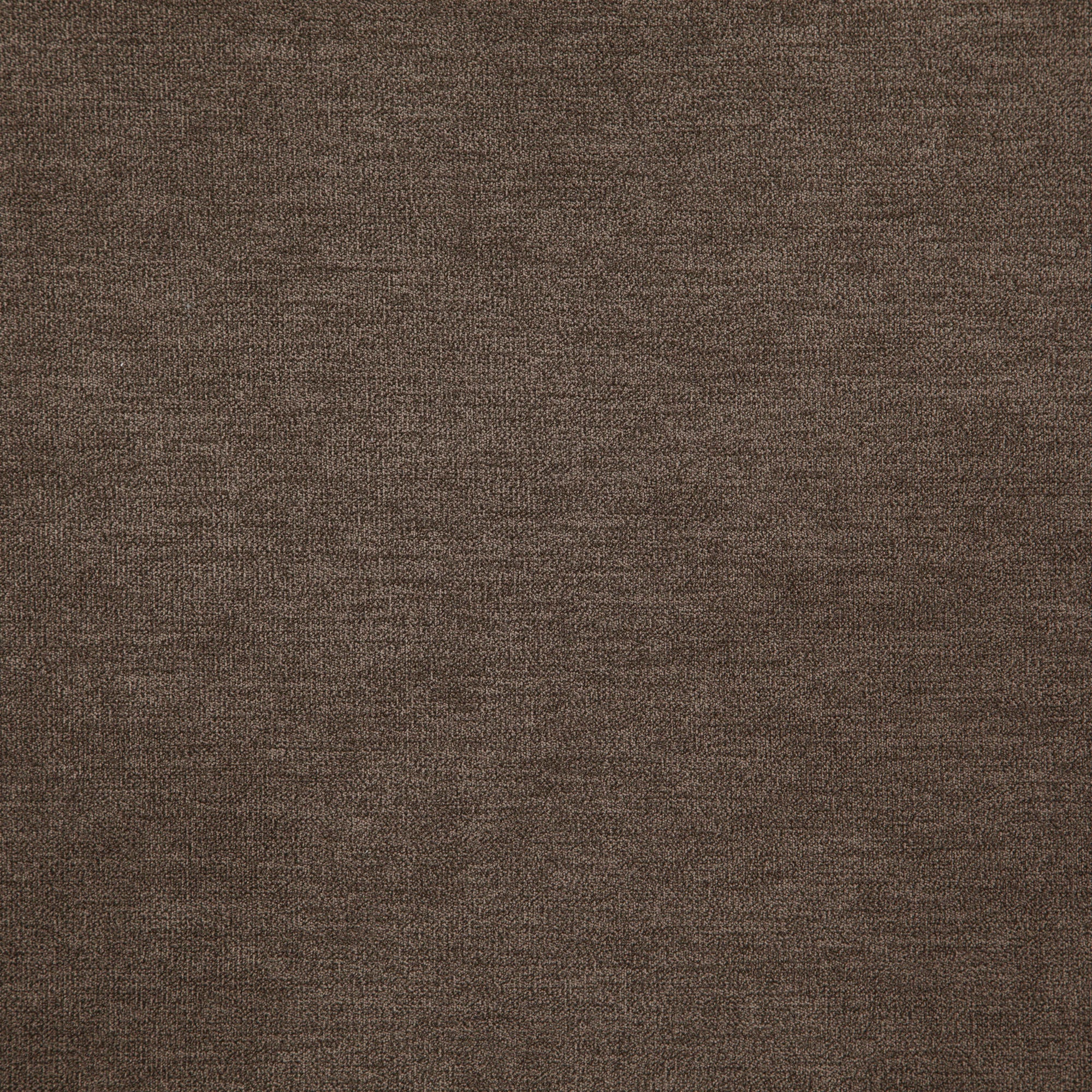 Koala fabric in 39 color - pattern number Koala39J8471 - by JF Fabrics in the Everyday Koala collection