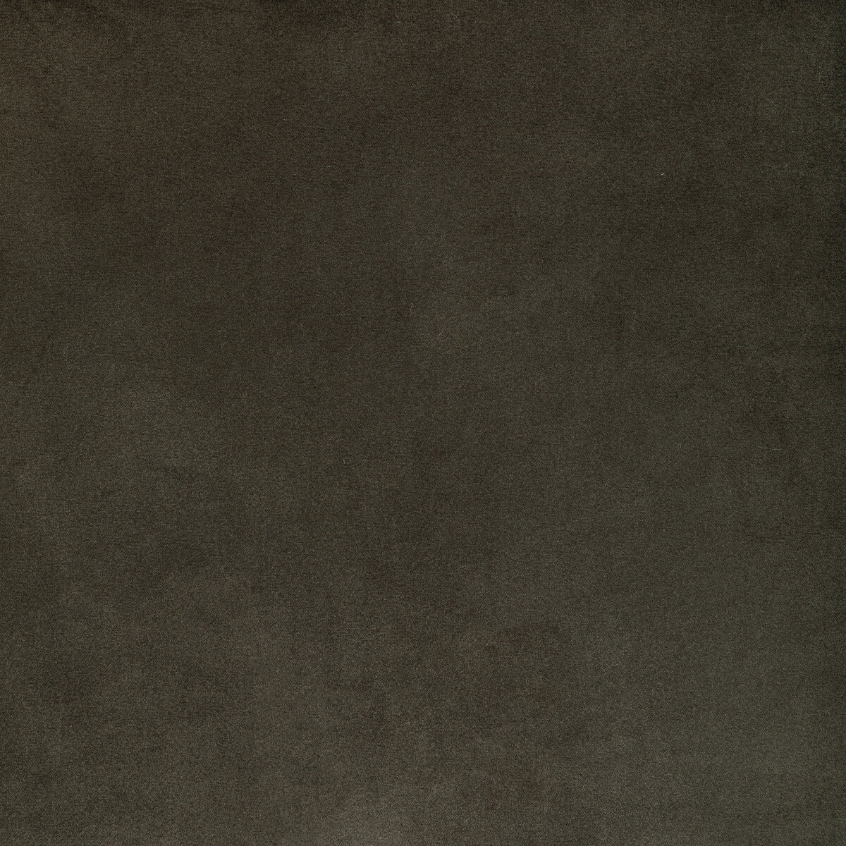 Rocco Velvet fabric in seal color - pattern KW-10065.3685MG21.0 - by Kravet Contract