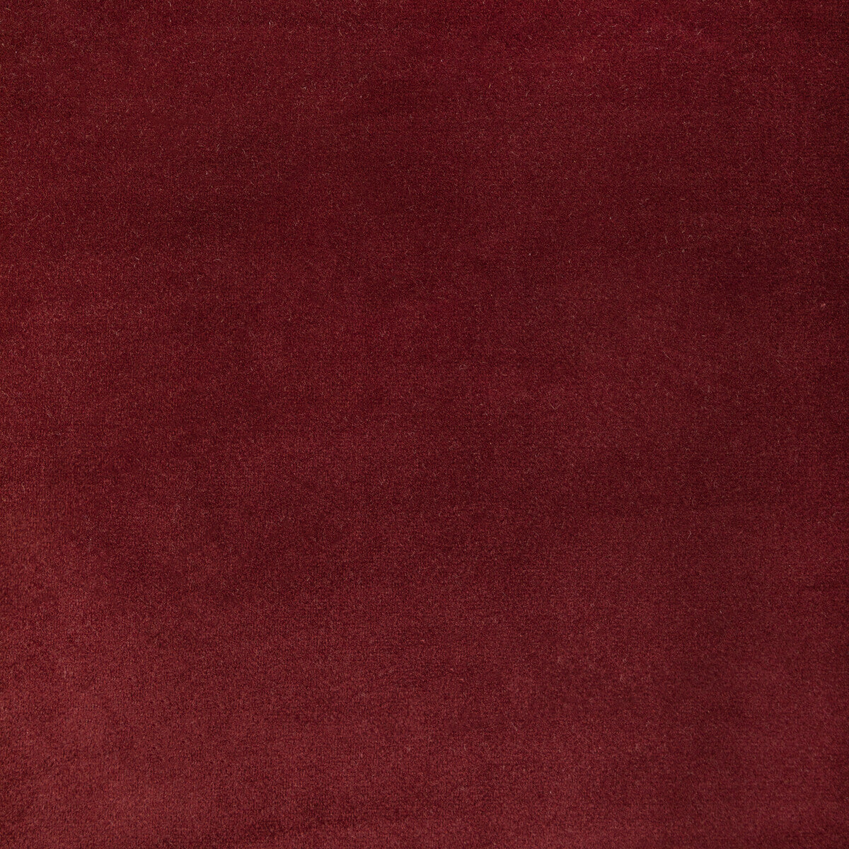 Rocco Velvet fabric in currant color - pattern KW-10065.3685MG41.0 - by Kravet Contract