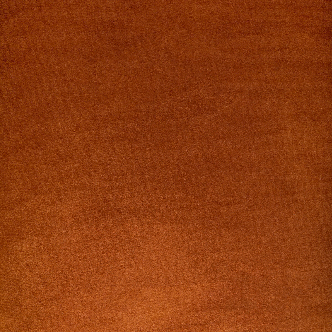Rocco Velvet fabric in spice color - pattern KW-10065.3685MG45.0 - by Kravet Contract