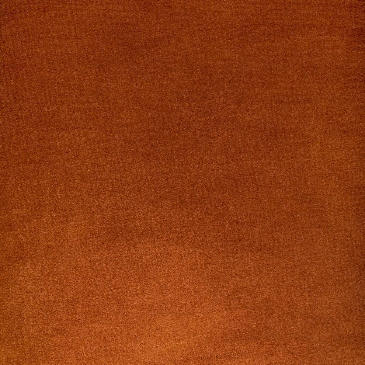 Rocco Velvet fabric in spice color - pattern KW-10065.3685MG45.0 - by Kravet Contract
