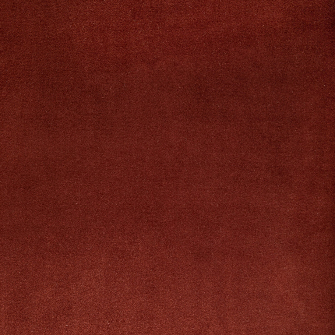 Rocco Velvet fabric in clay color - pattern KW-10065.3685MG46.0 - by Kravet Contract
