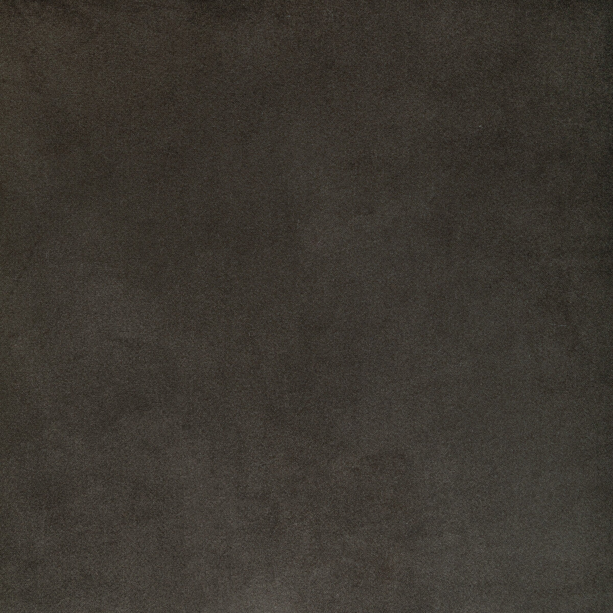 Rocco Velvet fabric in shadow color - pattern KW-10065.3685MG65.0 - by Kravet Contract