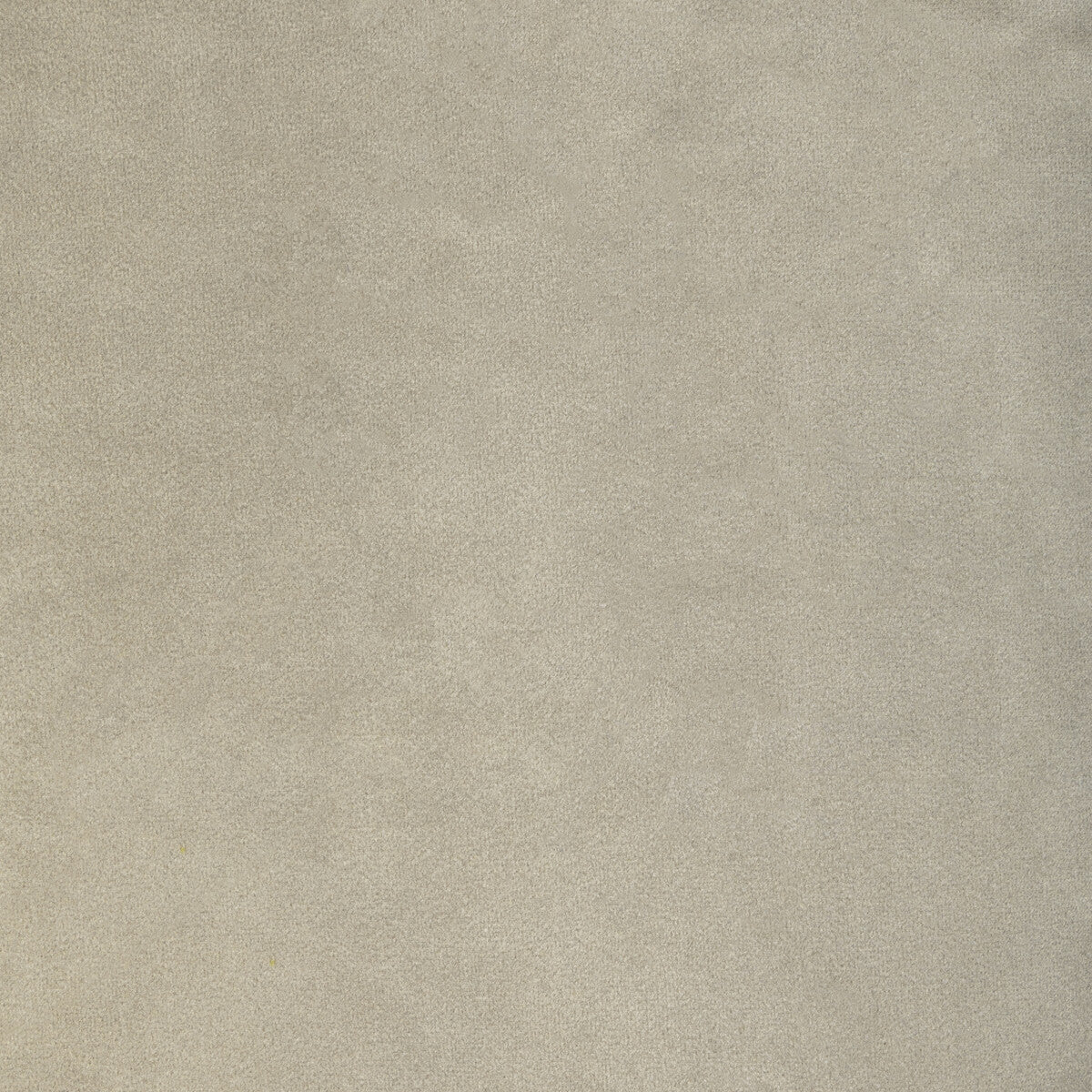 Rocco Velvet fabric in silver color - pattern KW-10065.3685MG7.0 - by Kravet Contract