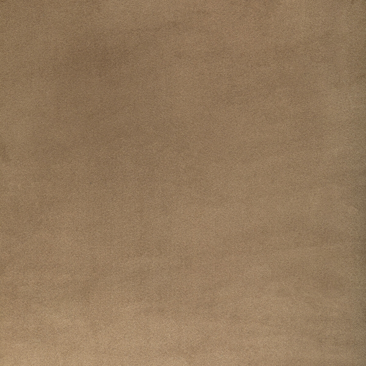 Rocco Velvet fabric in dune color - pattern KW-10065.616.0 - by Kravet Contract
