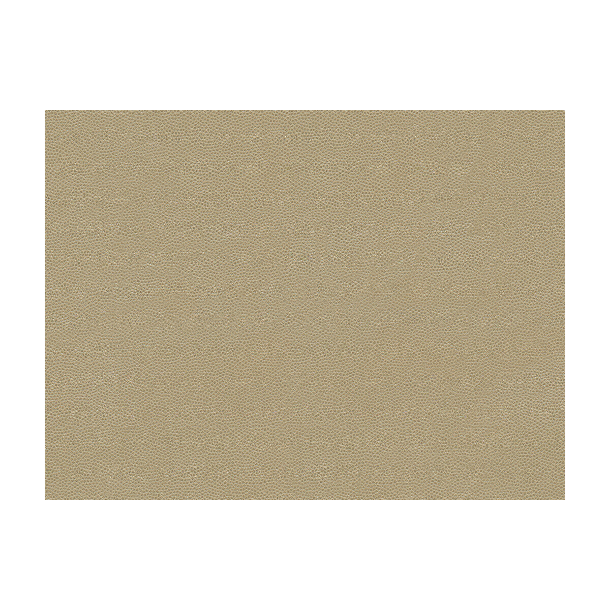 La Mesa fabric in tungsten color - pattern LA MESA.106.0 - by Kravet Contract