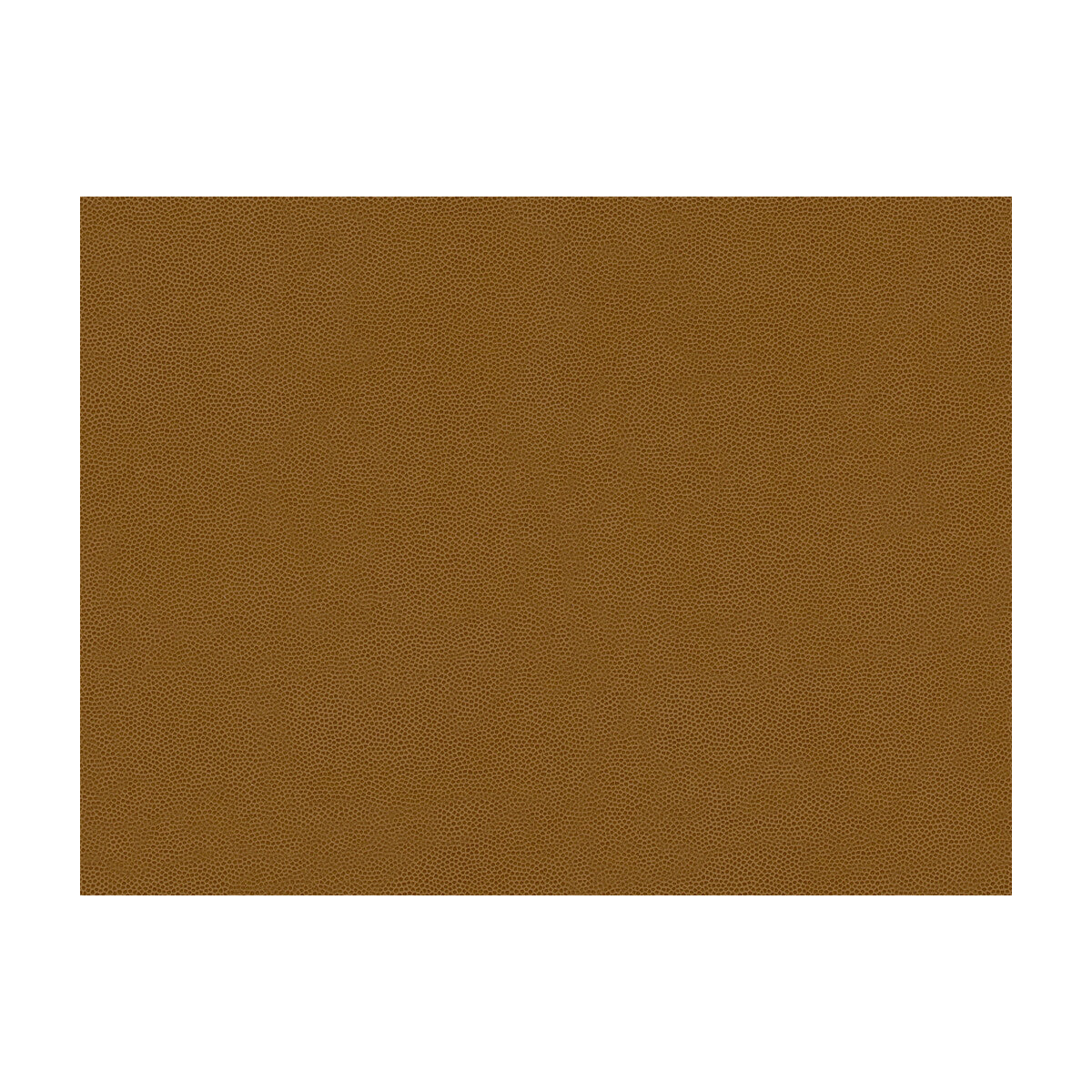 La Mesa fabric in coin color - pattern LA MESA.616.0 - by Kravet Contract