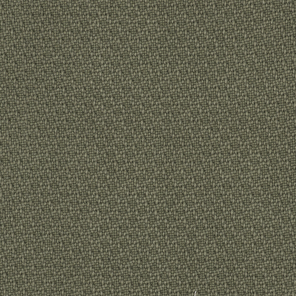 Ordono fabric in verde color - pattern LCT1003.005.0 - by Gaston y Daniela in the Lorenzo Castillo V collection