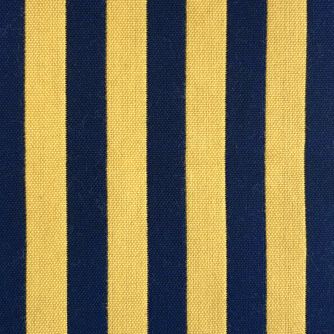 Benjamin fabric in amarillo/navy color - pattern LCT1057.004.0 - by Gaston y Daniela in the Lorenzo Castillo VI collection