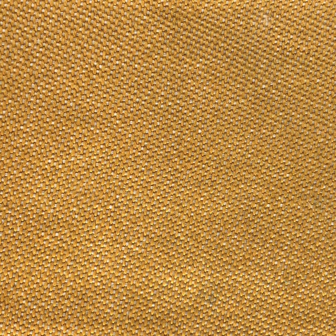 Max fabric in amarillo color - pattern LCT1067.003.0 - by Gaston y Daniela in the Lorenzo Castillo VI collection