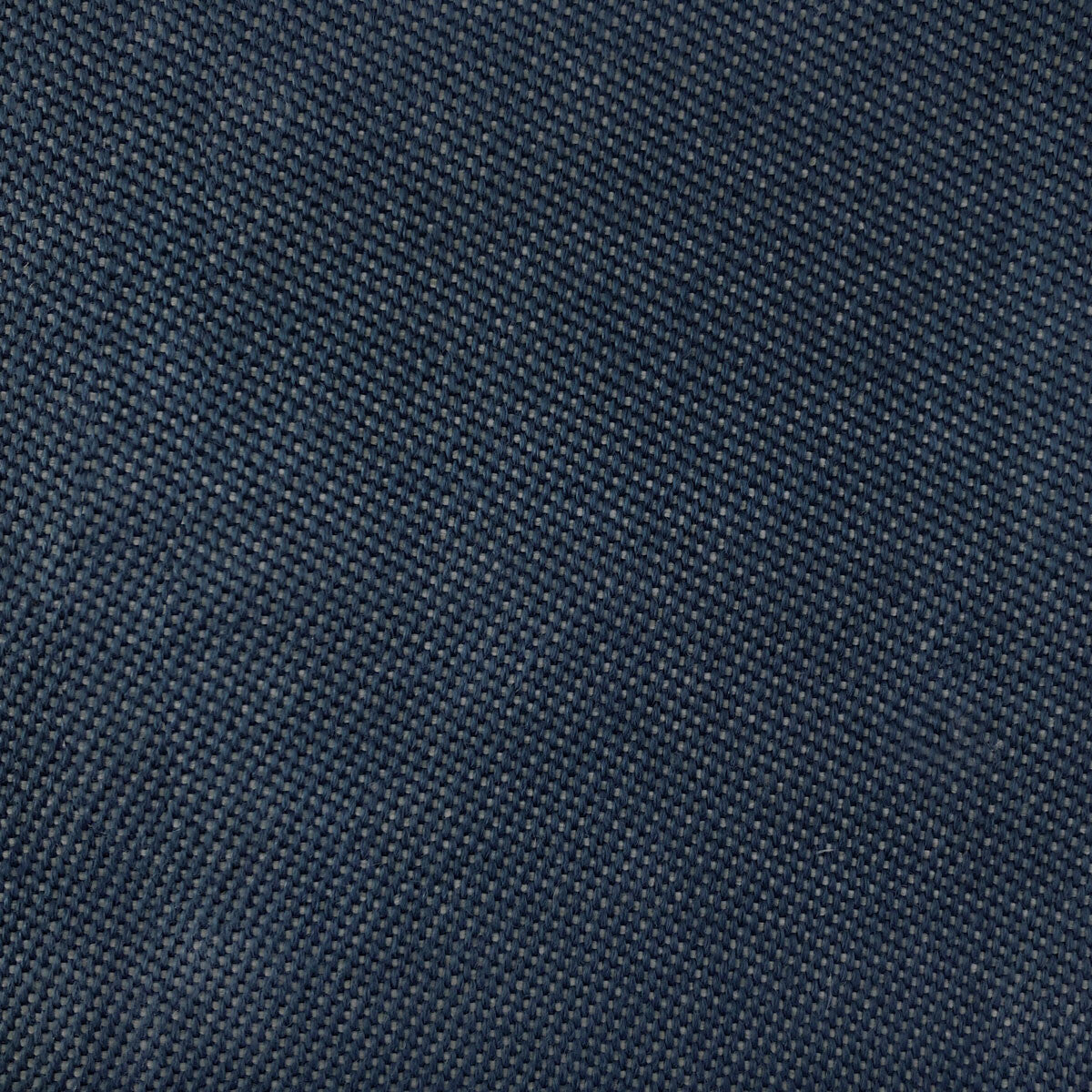Max fabric in navy color - pattern LCT1067.008.0 - by Gaston y Daniela in the Lorenzo Castillo VI collection