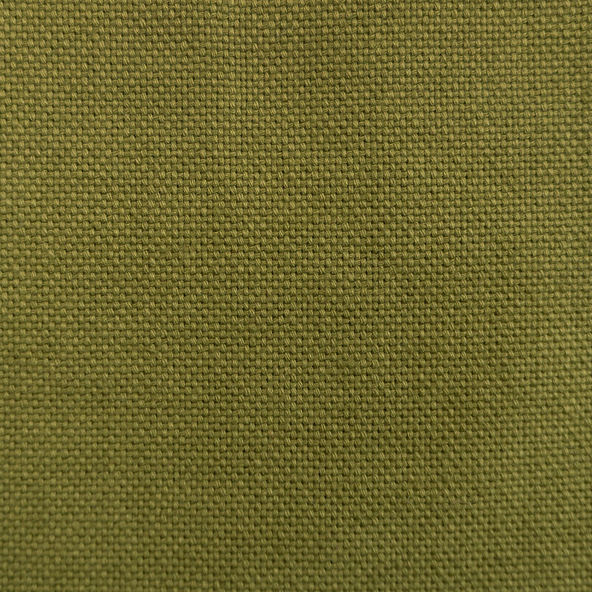 Dobra fabric in aceituna color - pattern LCT1075.024.0 - by Gaston y Daniela in the Lorenzo Castillo VII The Rectory collection