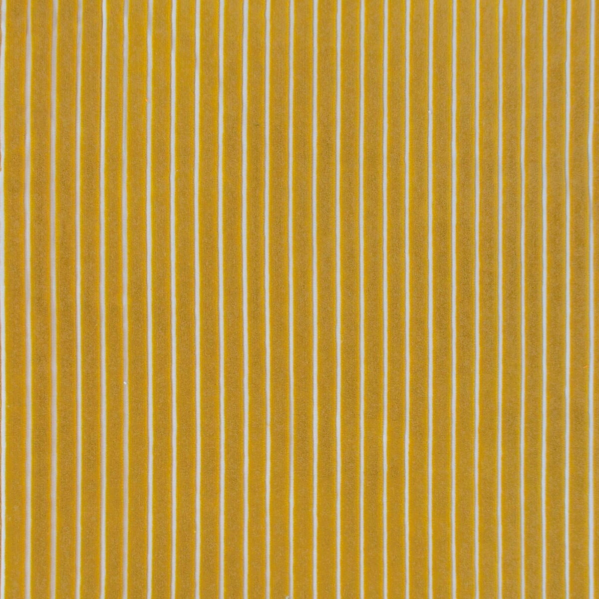 Mayrit fabric in amarillo color - pattern LCT1111.018.0 - by Gaston y Daniela in the Lorenzo Castillo IX Hesperia collection