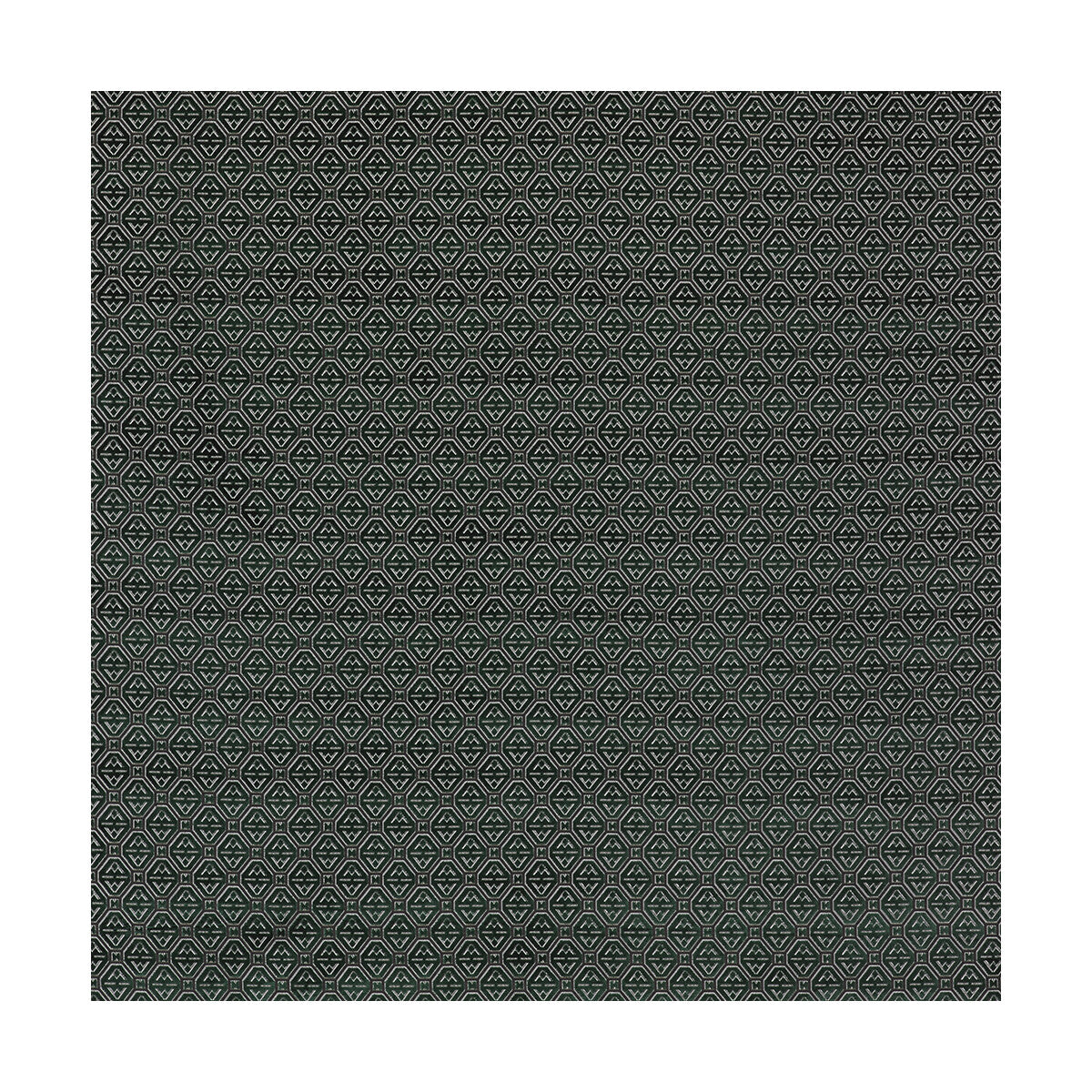 Calabrez fabric in verde color - pattern LCT5358A.003.0 - by Gaston y Daniela in the Lorenzo Castillo III collection