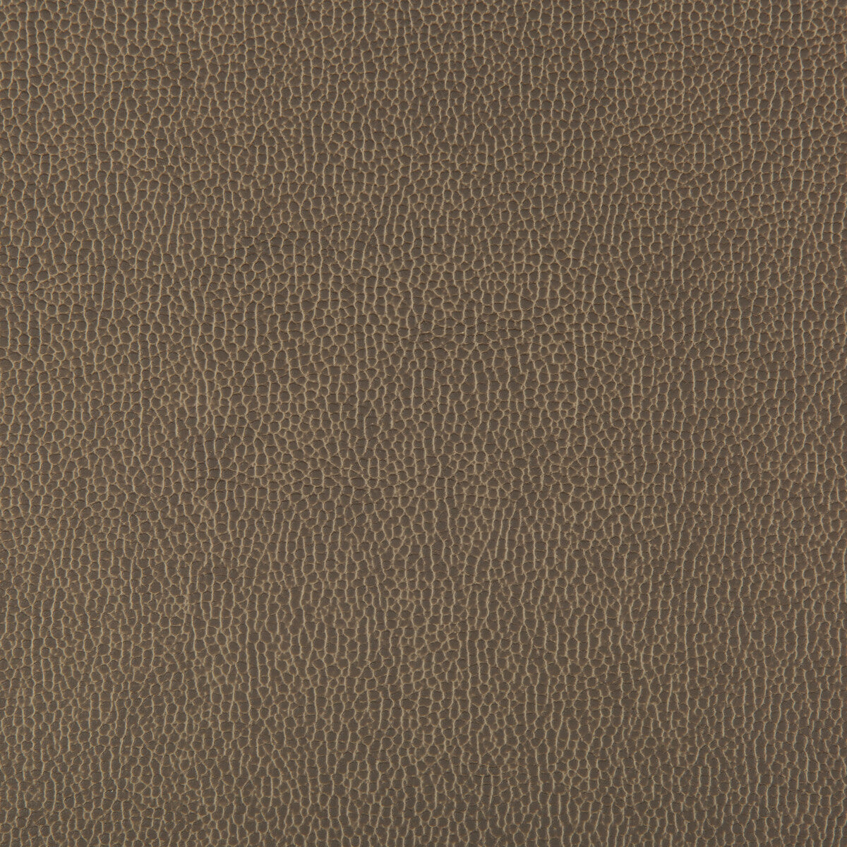 Lenox fabric in elephant color - pattern LENOX.106.0 - by Kravet Contract