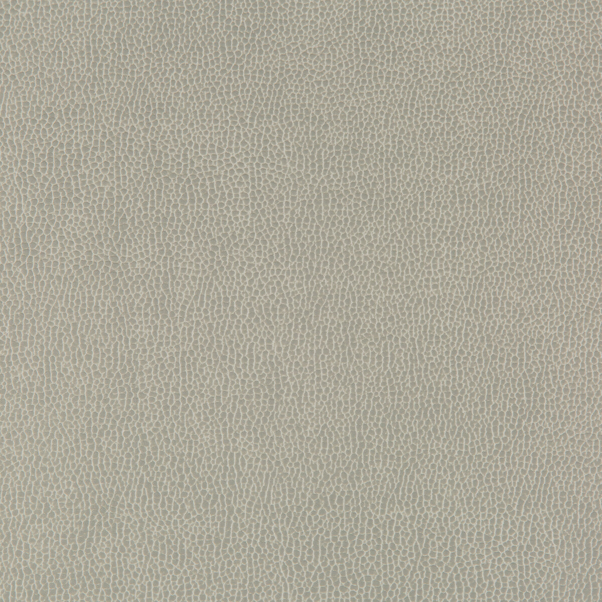 Lenox fabric in stonewall color - pattern LENOX.11.0 - by Kravet Contract