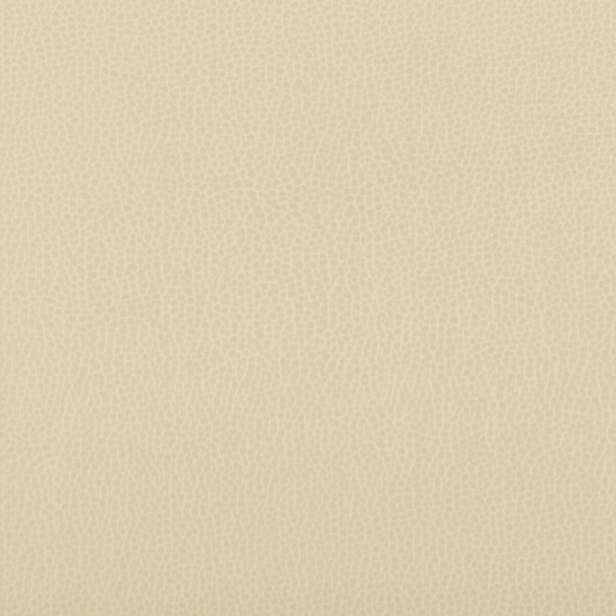 Lenox fabric in papyrus color - pattern LENOX.116.0 - by Kravet Contract