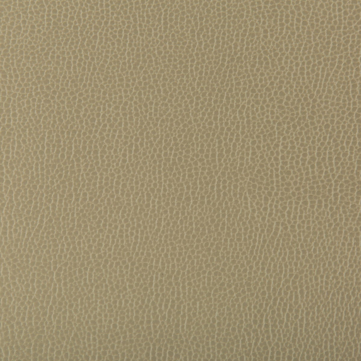 Lenox fabric in elm color - pattern LENOX.130.0 - by Kravet Contract