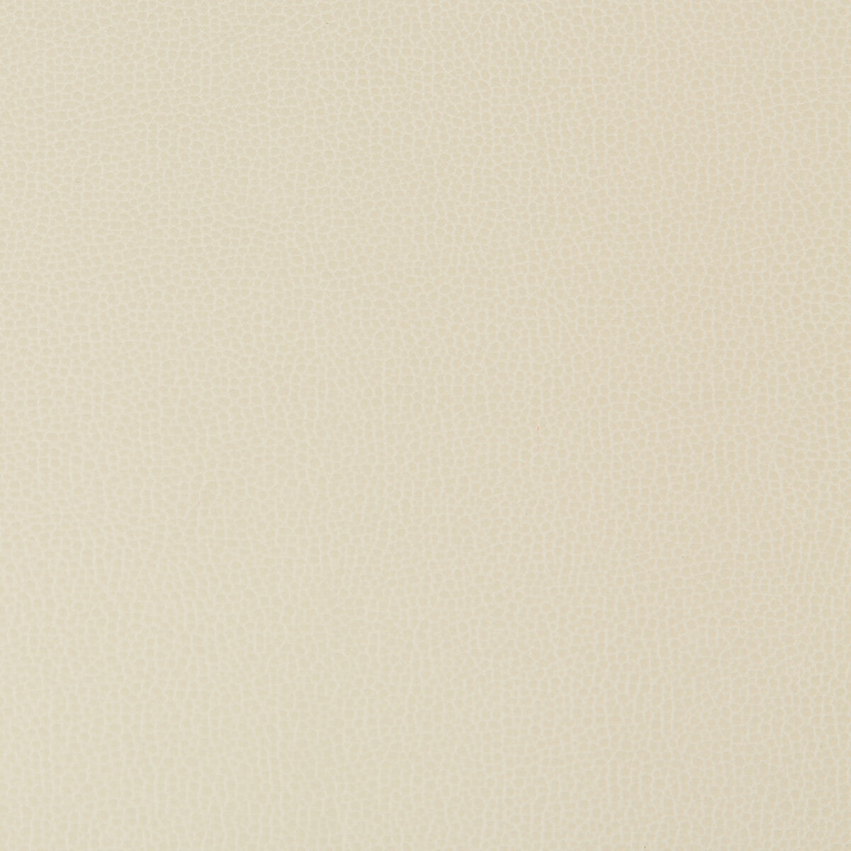 Lenox fabric in stone color - pattern LENOX.16.0 - by Kravet Contract