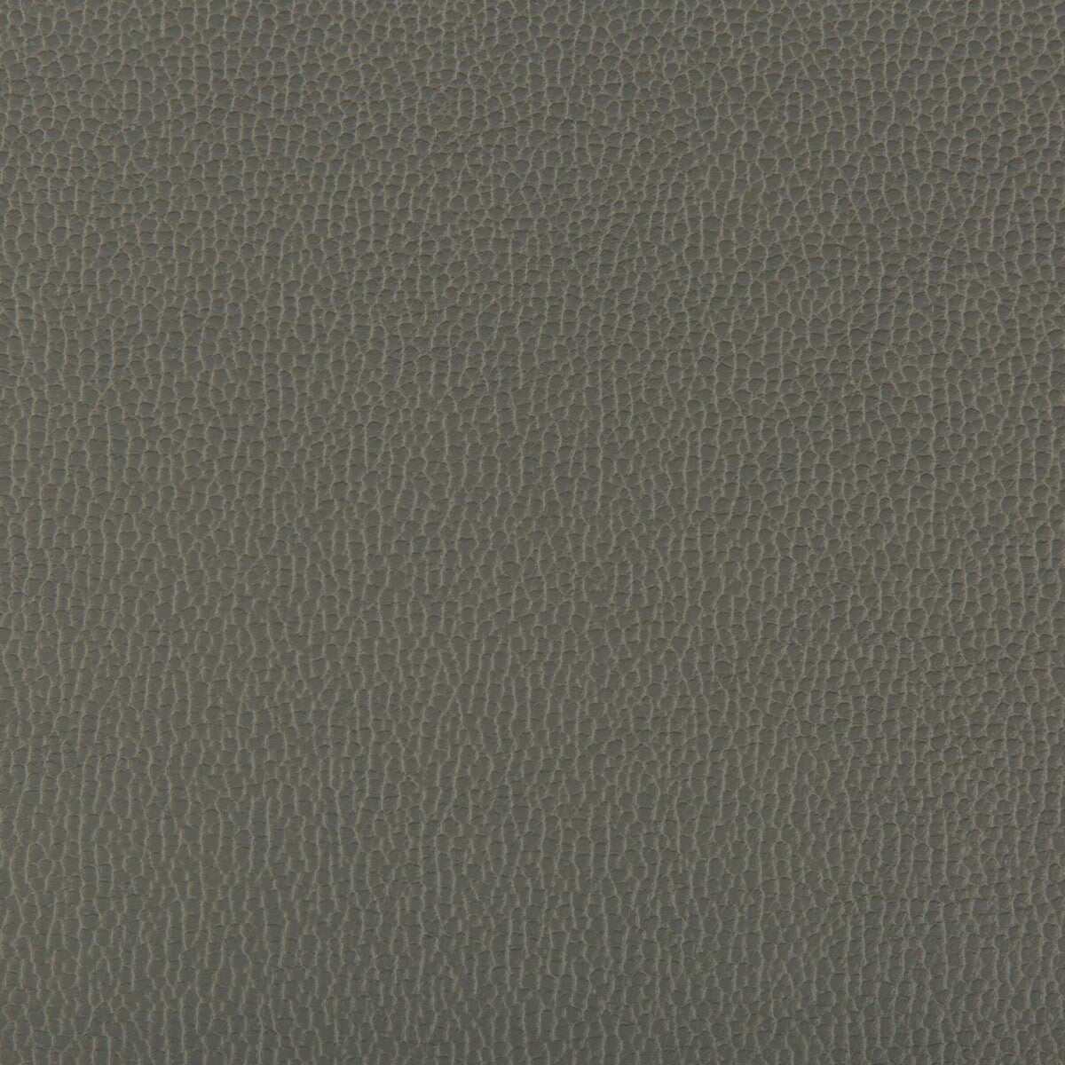 Lenox fabric in shadow color - pattern LENOX.21.0 - by Kravet Contract